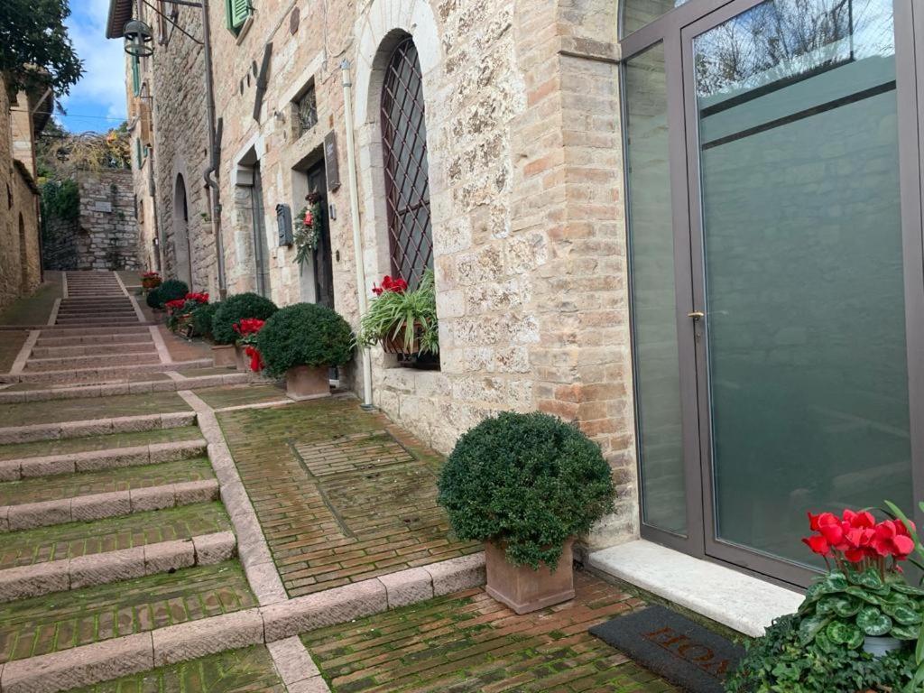 B&B La Zuppa Inglese Assisi Exterior photo