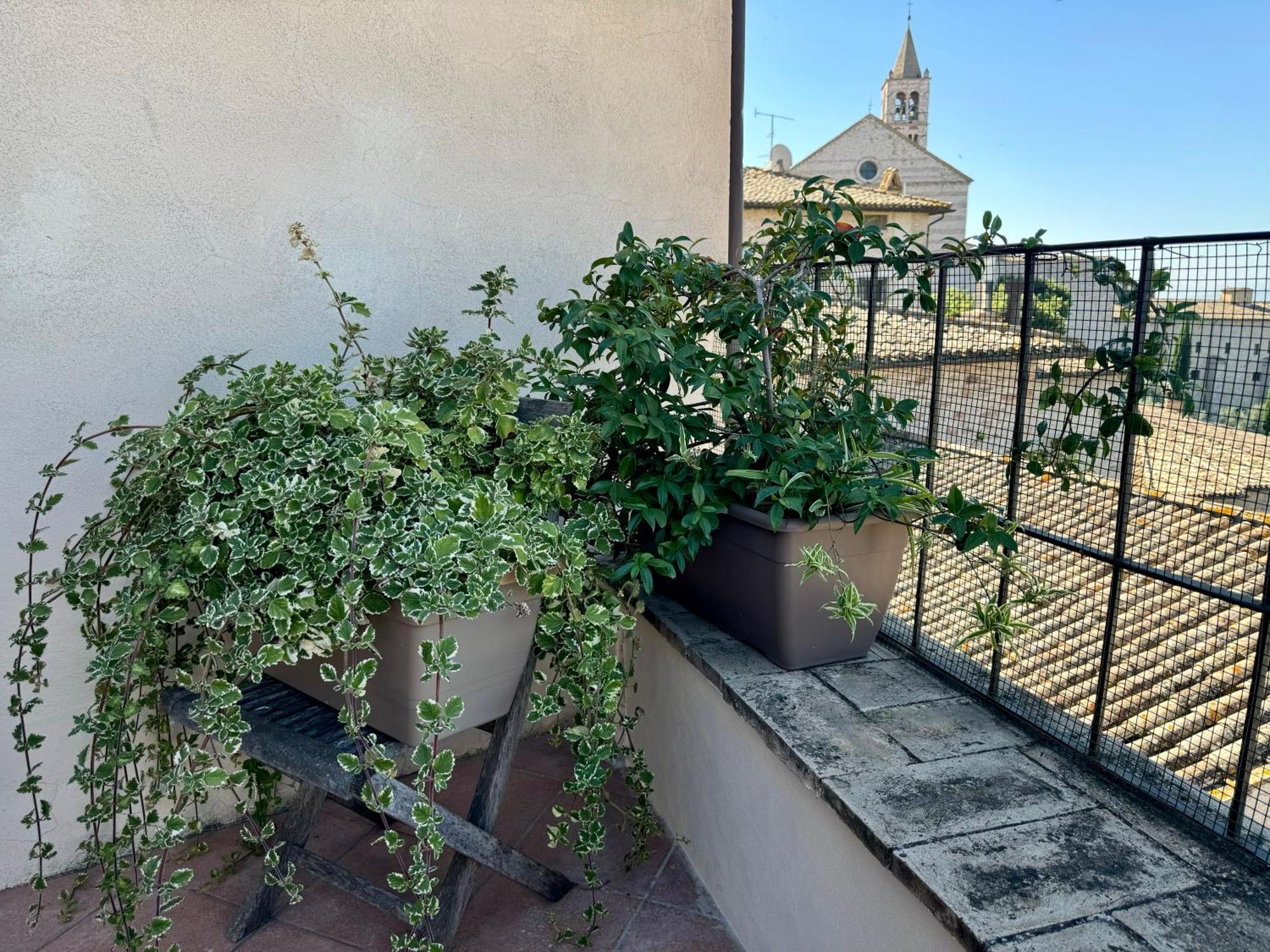 B&B La Zuppa Inglese Assisi Exterior photo